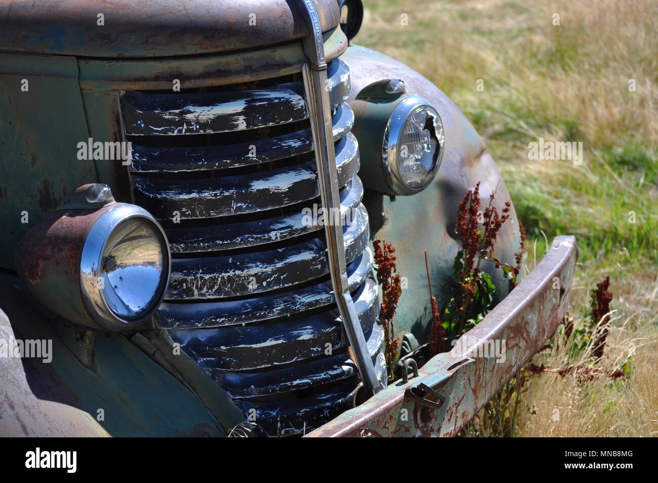 Vieux camion rouillé dans le champ Banque D'Images