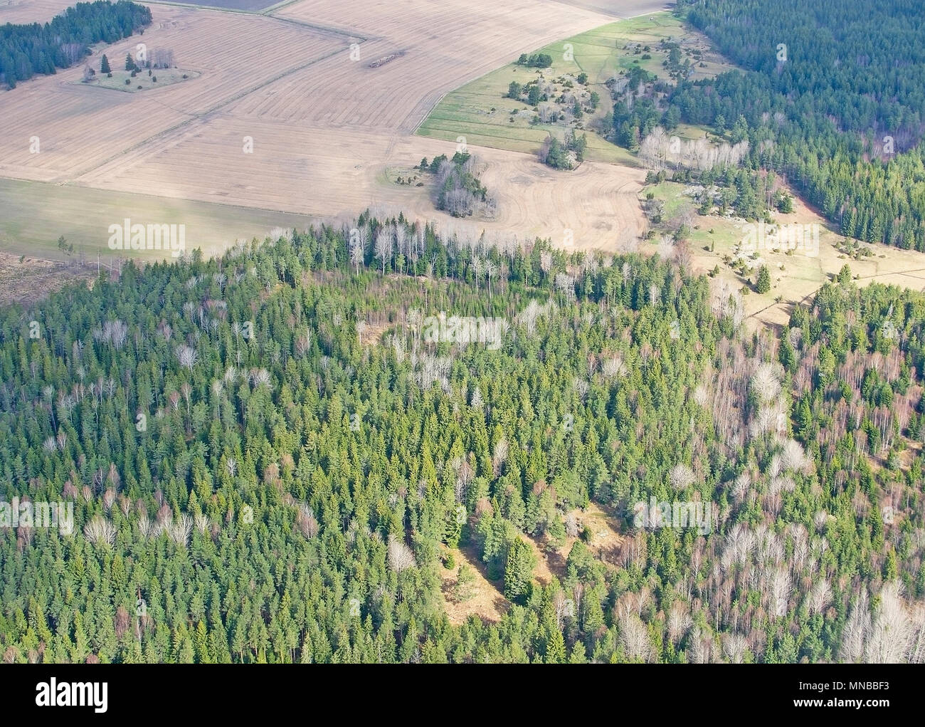 Image aérienne de nuages et la forêt paysage près de l'aéroport de Stockholm-Arlanda Suède en avril. Banque D'Images