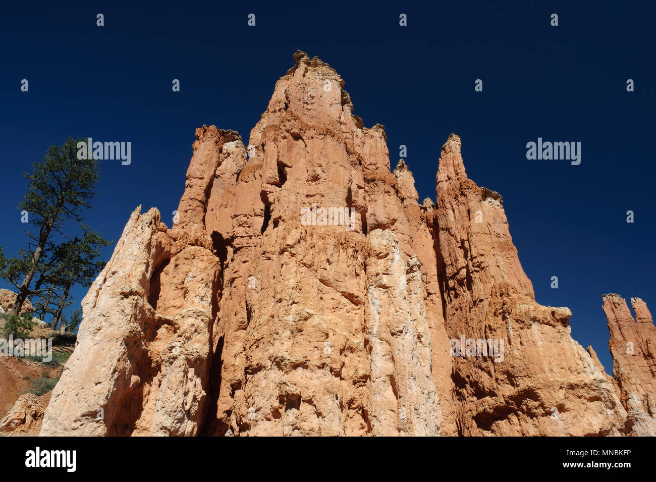 Spectaculaire red rock formation contre un ciel bleu profond, Bryce Canyon National Park, Utah, USA. Banque D'Images