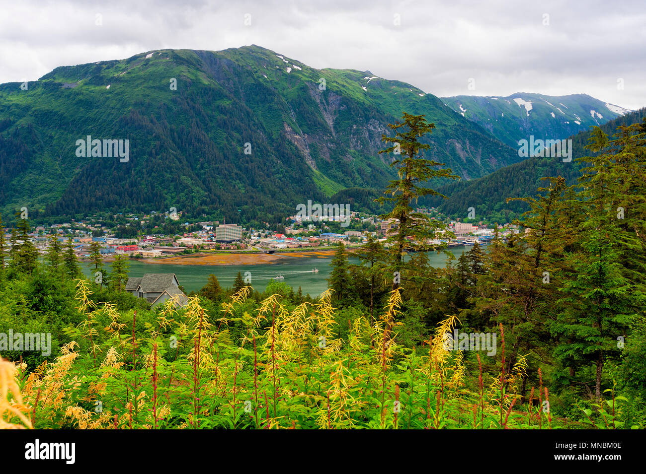 Juneau Alaska vu de Douglas sur l'île de l'autre côté de Gastineau Channel . Gamme montagne majestueuse forêt tropicale luxuriante avec les verts des plantes et Banque D'Images