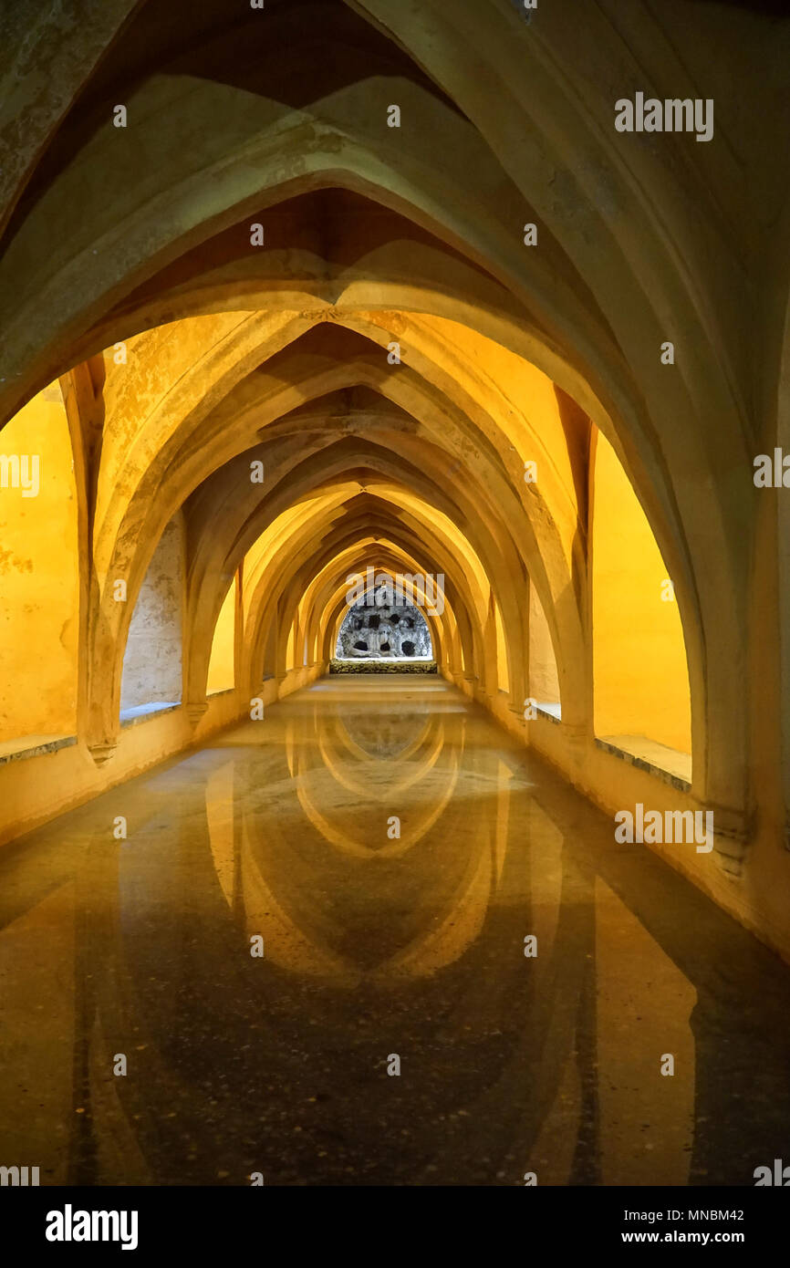 Alcázar de Séville : le 'thermes de Dame Maria de Padilla' sont des réservoirs d'eau de pluie sous le Patio del Crucero. Banque D'Images
