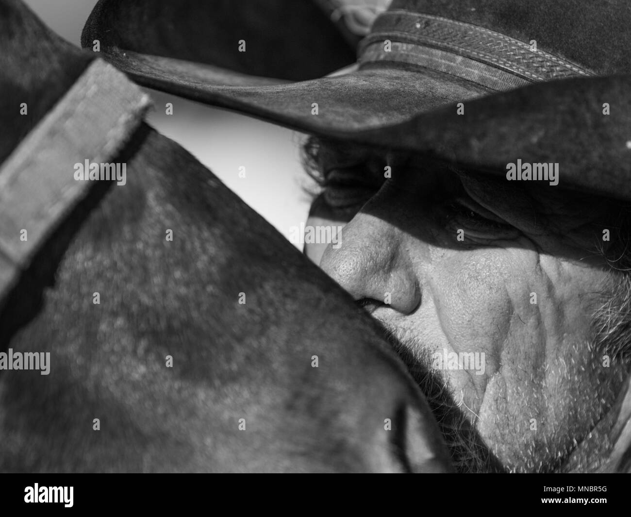 Cowboy authentique des chuchotements au poney Banque D'Images