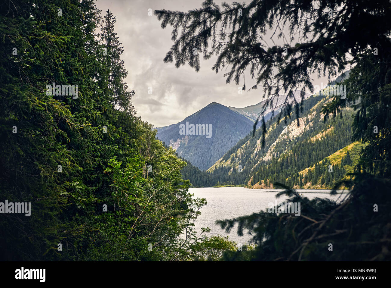 Belle vue sur lac de montagne Kolsai sur la forêt au Kazakhstan Banque D'Images