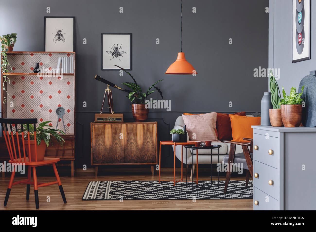 Plante et télescope sur armoire en bois à côté d'un canapé dans salon  rustique intérieur avec lampe orange Photo Stock - Alamy