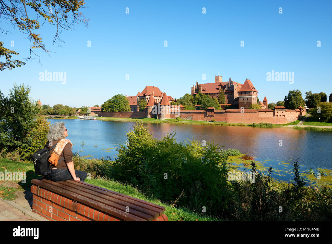 Le 13e siècle château de Malbork, fondée par les Chevaliers de l'Ordre Teutonique, Site du patrimoine mondial de l'Unesco. Marienburg (Mary's Castle). Occidentale, Po Banque D'Images