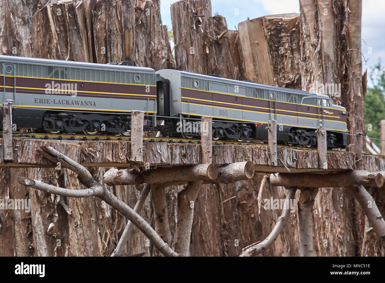 Model Railroad. Des répliques à l'échelle de bain à vapeur et des trains diesel Banque D'Images