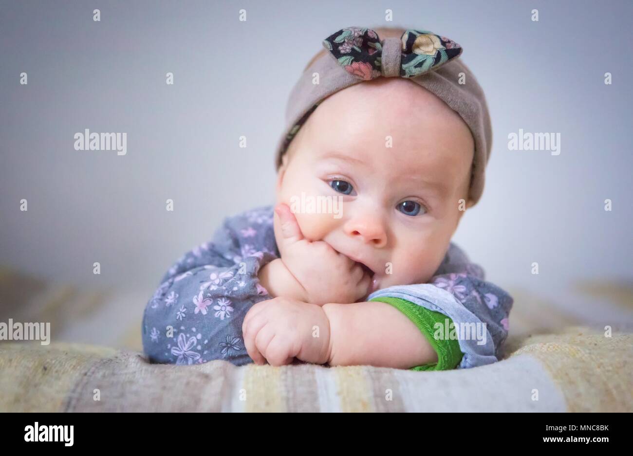Magnifique petite fille portrait. Studio shot de 6 mois du bébé. Banque D'Images