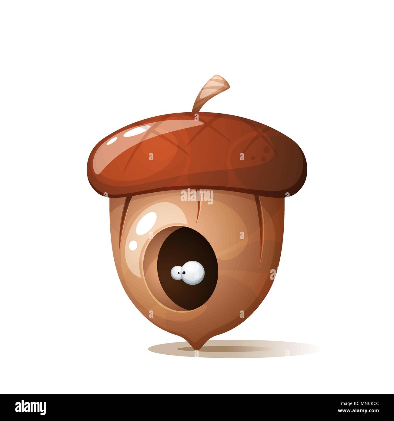 L'œil en trou d'acorn, écrous illustration Illustration de Vecteur