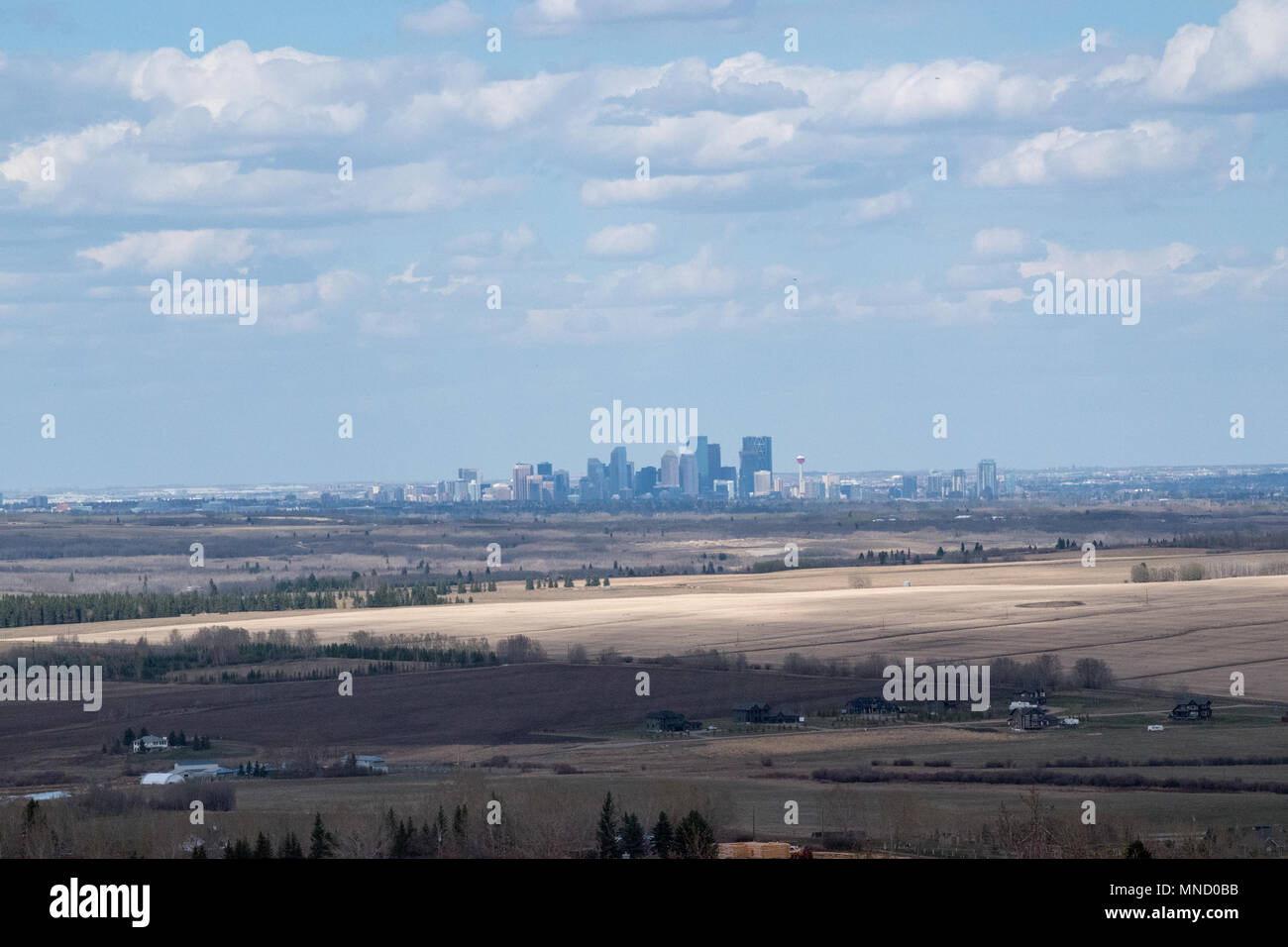 Avis de Calgary, Alberta, Canada depuis les contreforts sud de la ville. Banque D'Images