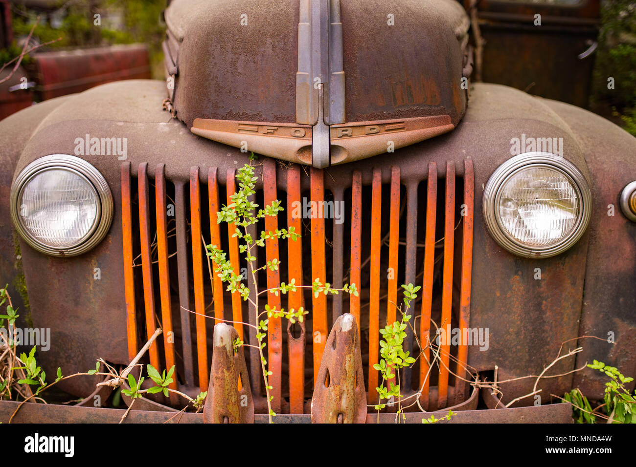 Vieux camion Ford à l'ancienne ville de blanc, la Géorgie. [Nikon D5, Sigma 35mm Ø/1.4, ISO 100, ƒ/1.6, 1/800] Banque D'Images