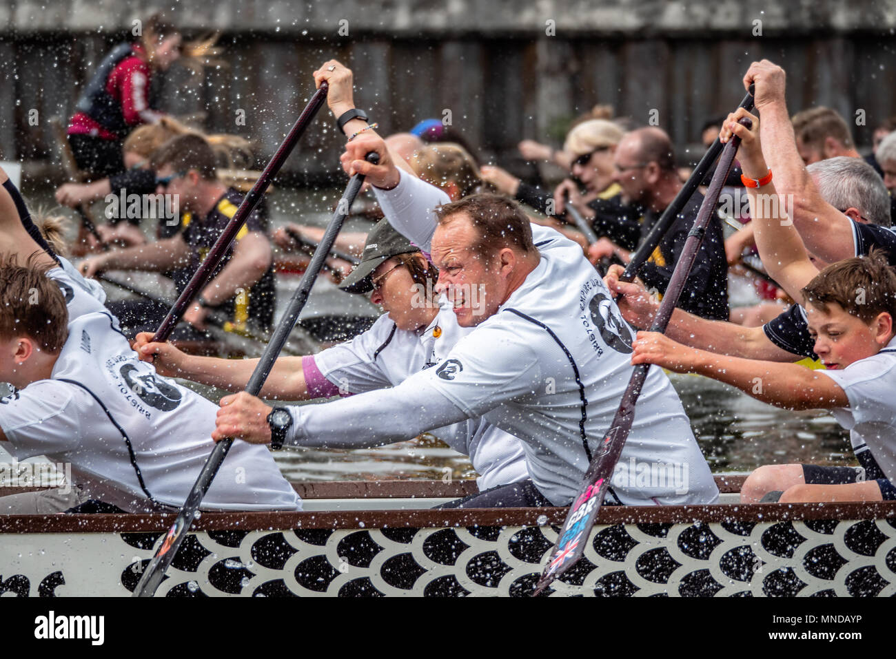 La course de bateaux-dragons sur Bristol port flottant où des équipes de rameurs amateurs pagayer frénétiquement des pirogues décorées pour recueillir des fonds pour des organismes de bienfaisance Bristol UK Banque D'Images