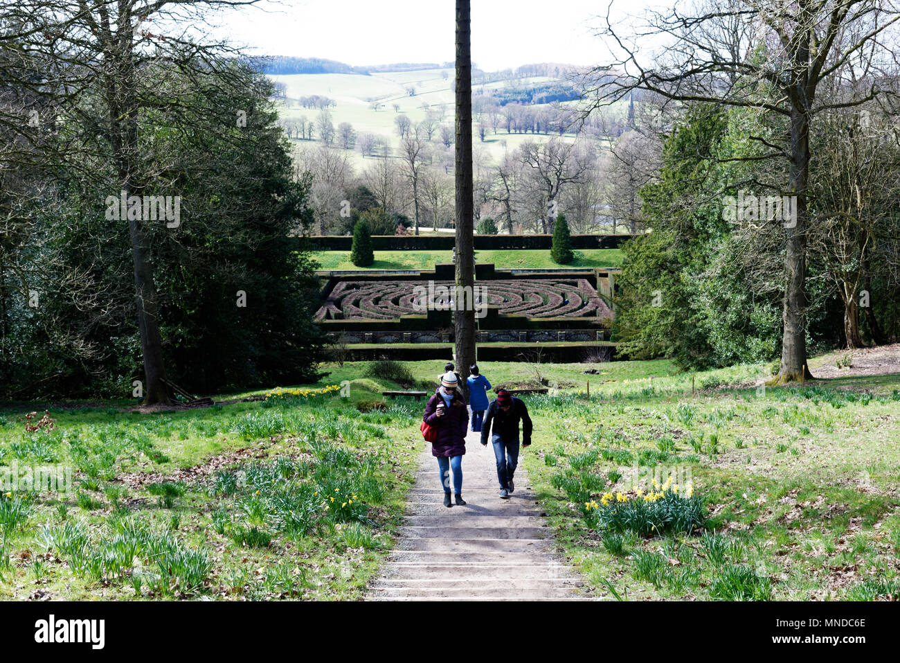 Le labyrinthe à Chatsworth House près de Bakewell dans le Derbyshire, Angleterre Banque D'Images