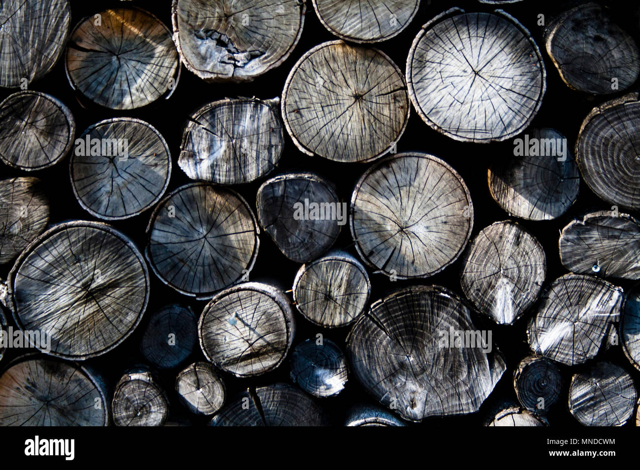 - Une pile de grumes qui ressemblent à des cogs Banque D'Images