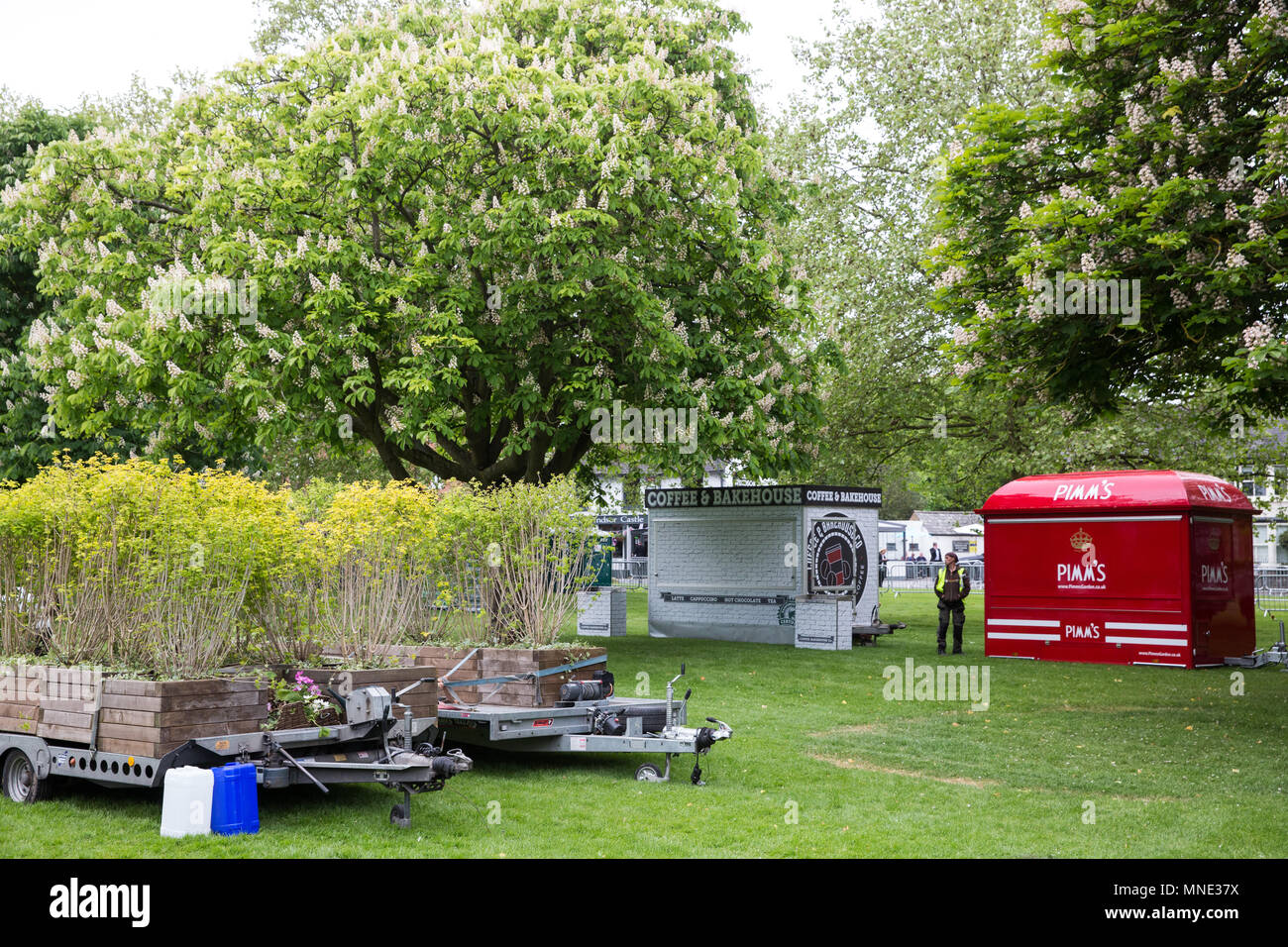 Londres, Royaume-Uni. 16 mai, 2018. Les préparatifs se poursuivent le long de la longue marche dans la région de Windsor Great Park pour la procession qui suivra le mariage royal entre le Prince Harry et Meghan Markle. Credit : Mark Kerrison/Alamy Live News Banque D'Images