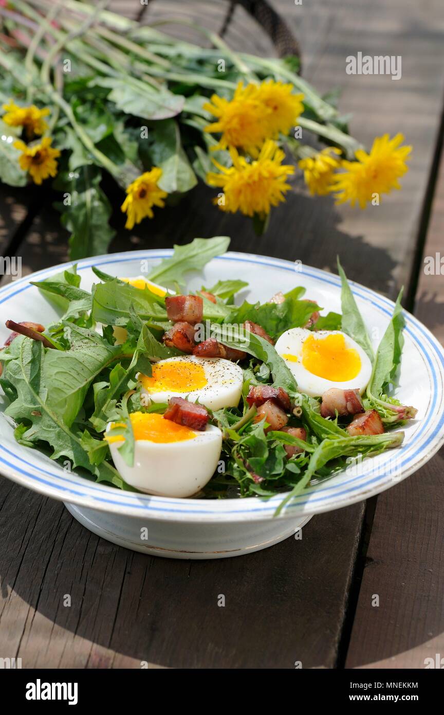 Salade de printemps avec des œufs, de pissenlits et de lardons Banque D'Images