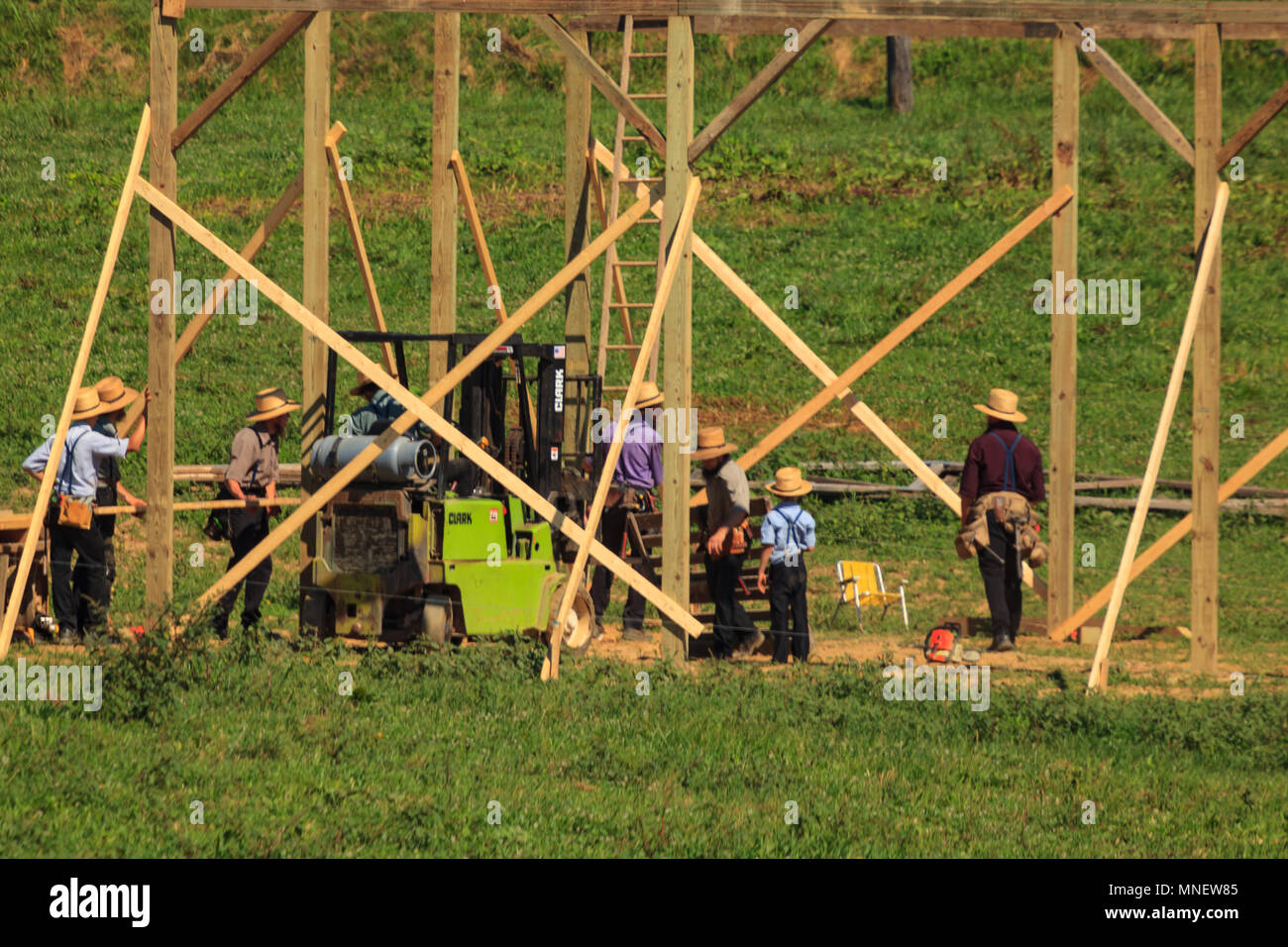 New Providence, PA, USA - 30 juillet 2013 : les agriculteurs Amish lors d'une "grange" dans les régions rurales du comté de Lancaster. Banque D'Images