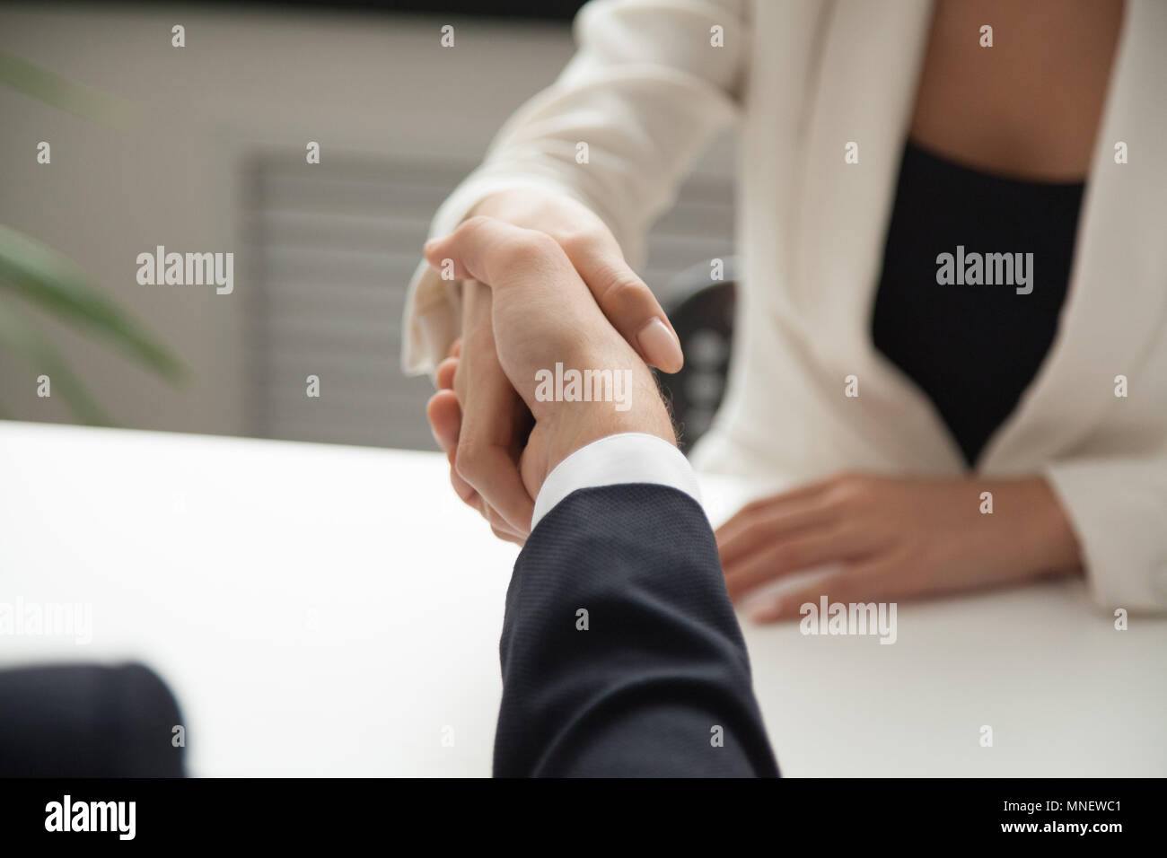 Travailleur féminin partenaire d'affaires de vœux avec handshake Banque D'Images