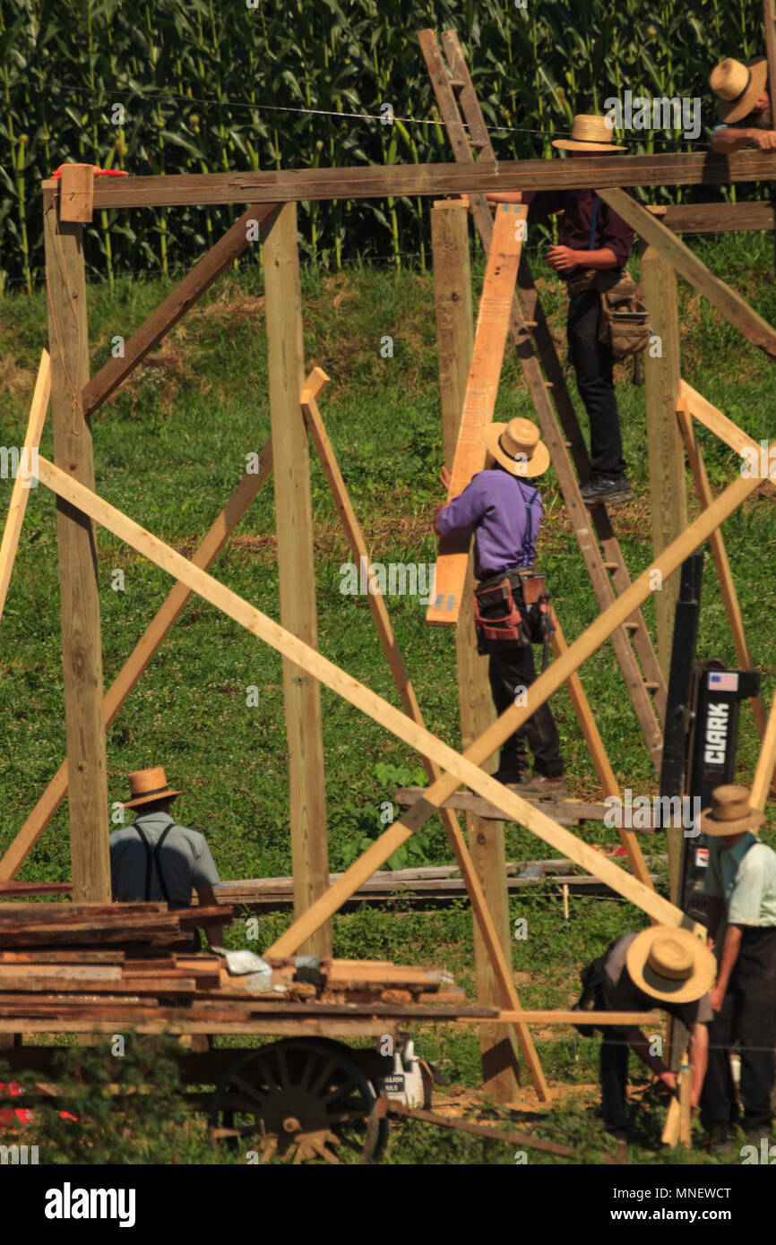 New Providence, PA, USA - 30 juillet 2013 : Une équipe de charpentiers Amish construire une grange dans la chaleur de l'été dans le comté de Lancaster. Banque D'Images