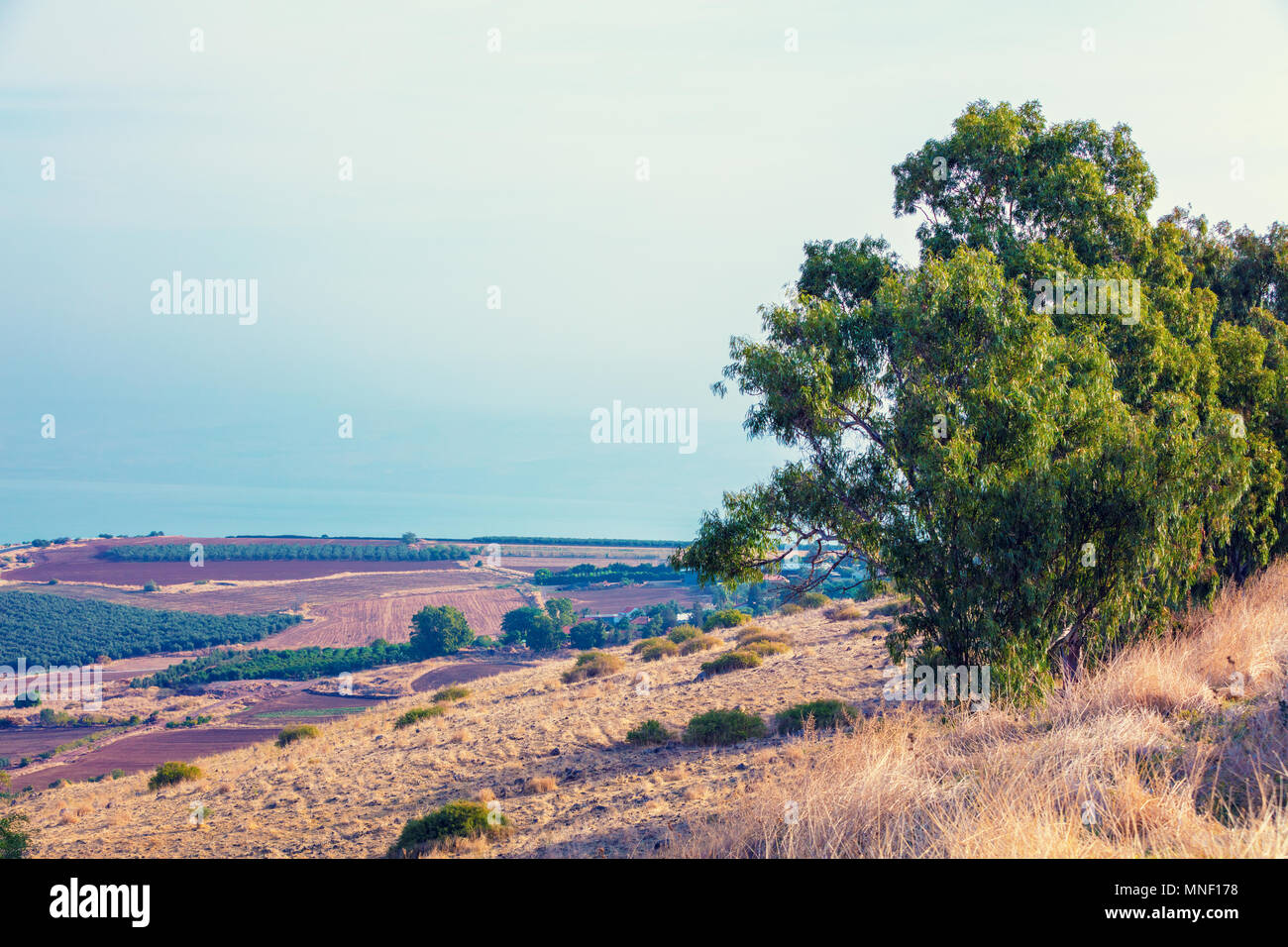 Vue aérienne de la côte de la mer de Galilée, de Tibériade, Israël Banque D'Images