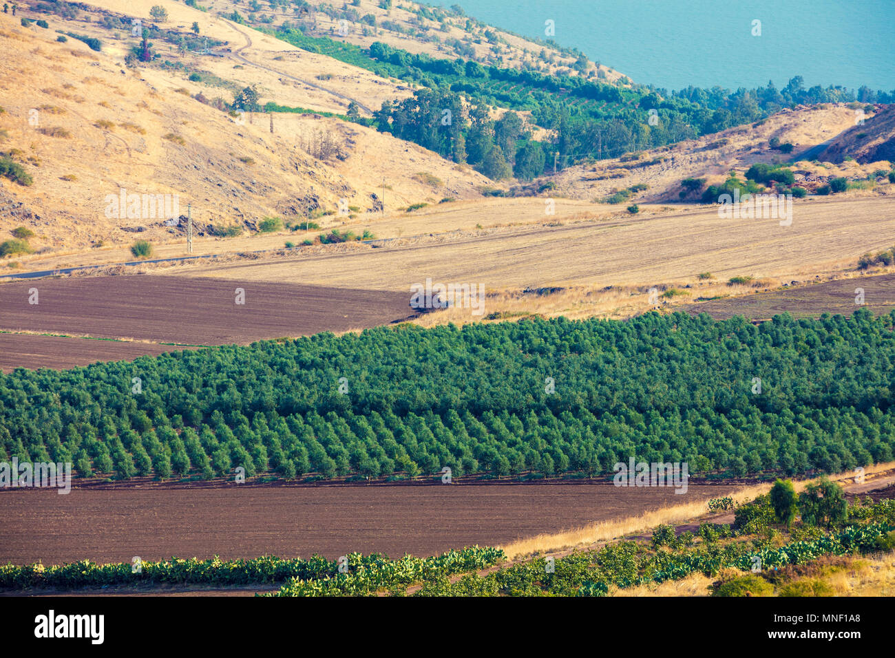 Vue aérienne de la côte de la mer de Galilée, de Tibériade, Israël Banque D'Images
