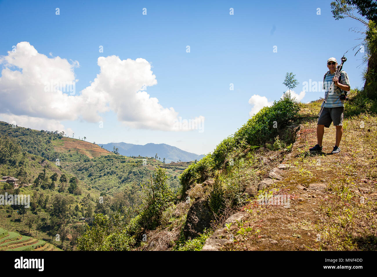 Un homme se tient sur une colline ombragée, sentier pédestre, à plus de plantations de thé, Ambewela, Sri Lanka. Village pittoresque paysage vert avec fond de ciel bleu Banque D'Images