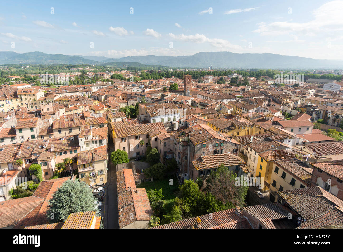 Vue du haut de la Torre Guinigi, Lucca, Toscane, Italie, Europe Banque D'Images
