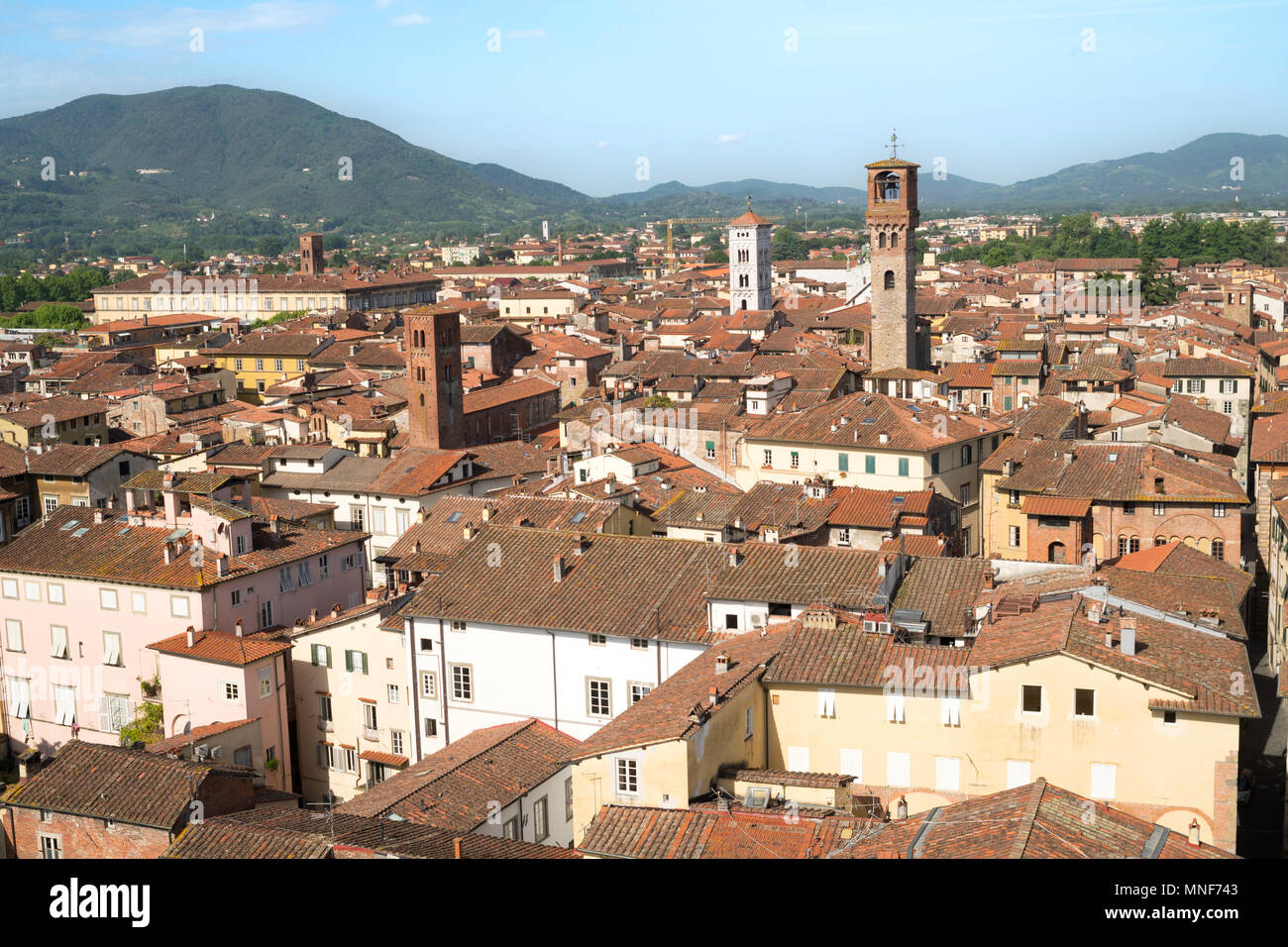 Vue du haut de la Torre Guinigi, Lucca, Toscane, Italie, Europe Banque D'Images