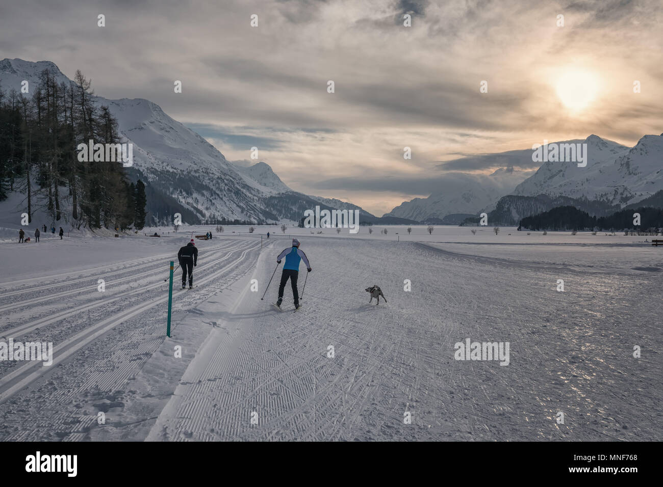Le ski de fond à Sils Banque D'Images
