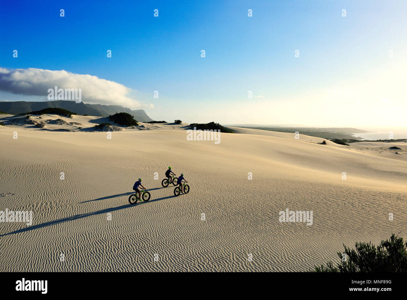 Vélo de montagne sur des vélos de graisse à travers les dunes, les grandes ombres, randonnée à vélo, réserve naturelle, de Kelders, Italie, Western Cape Banque D'Images