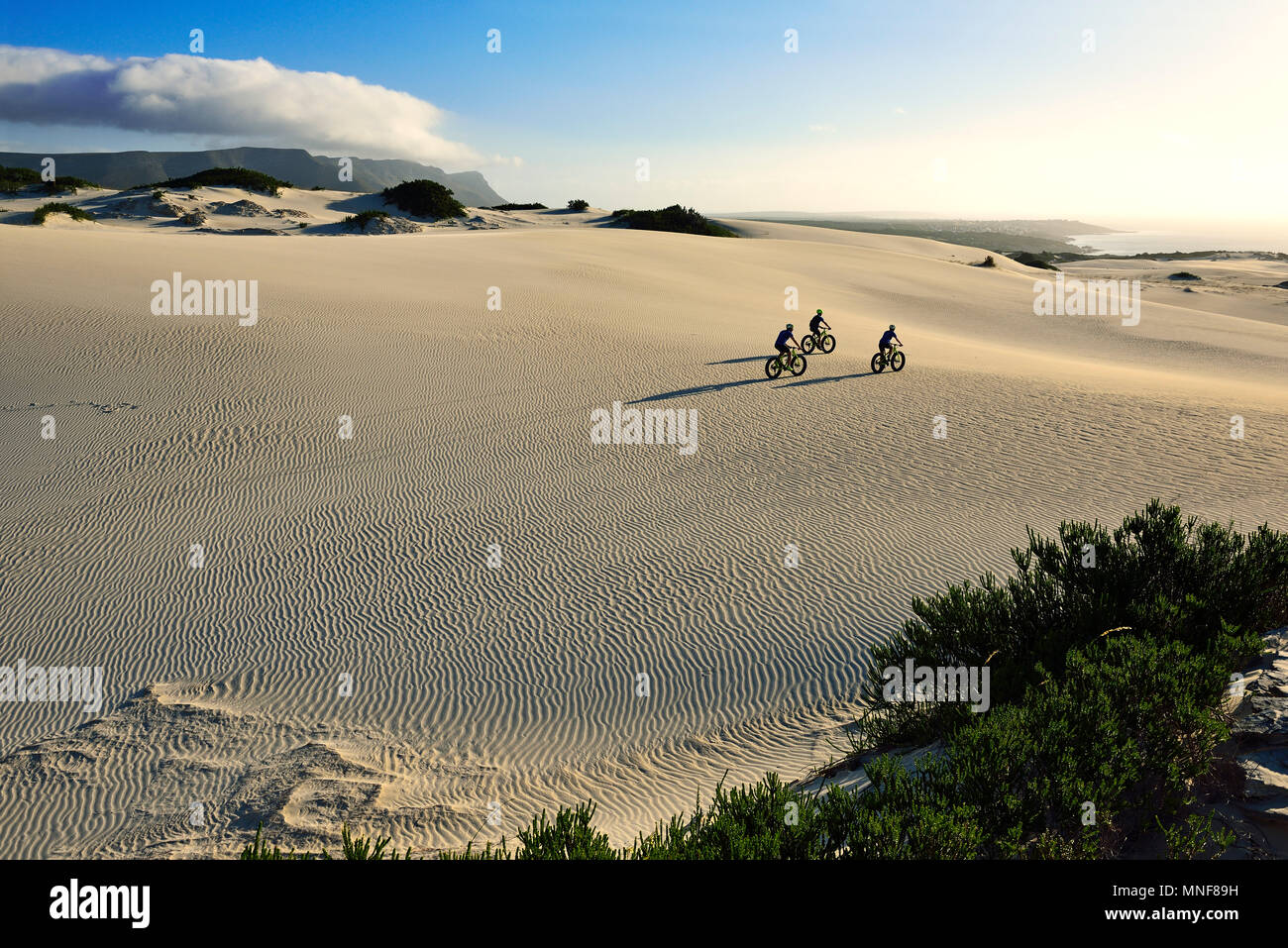 Randonnée cycliste avec de grosses motos sur dunes de sable, randonnée à vélo, réserve naturelle, de Kelders, Italie, Western Cape, Afrique du Sud Banque D'Images