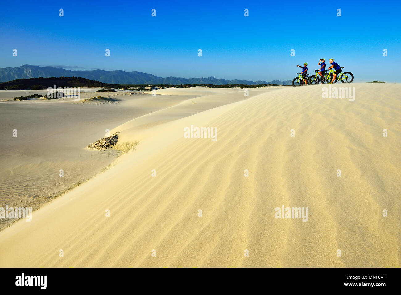 Randonnée cycliste avec de grosses motos sur dunes de sable, randonnée à vélo, réserve naturelle, de Kelders, Italie, Western Cape, Afrique du Sud Banque D'Images