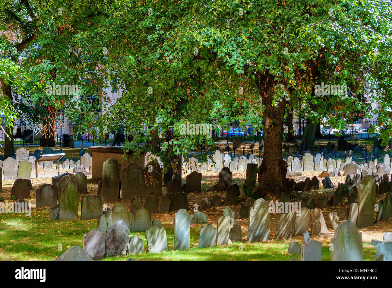 Boston, Massachusetts, États-Unis - 12 septembre 2016 : Des rangées de pierres tombales sous un arbre à Granary Burial Ground. Il est devenu un cimetière en 1660 la troisième ol Banque D'Images