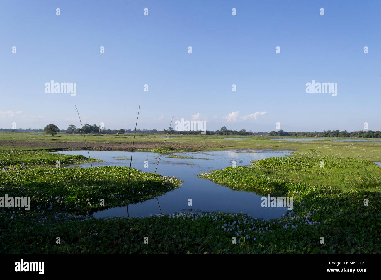 L'île de Majuli, dans l'Assam, Inde Banque D'Images