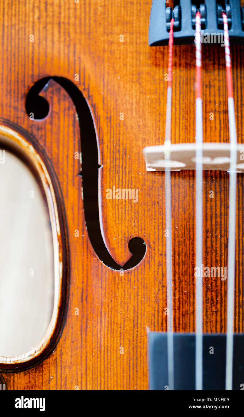 Macro extrême F sur le trou du ventre violon / corps. Vue de dessus du châssis complet vertical Banque D'Images