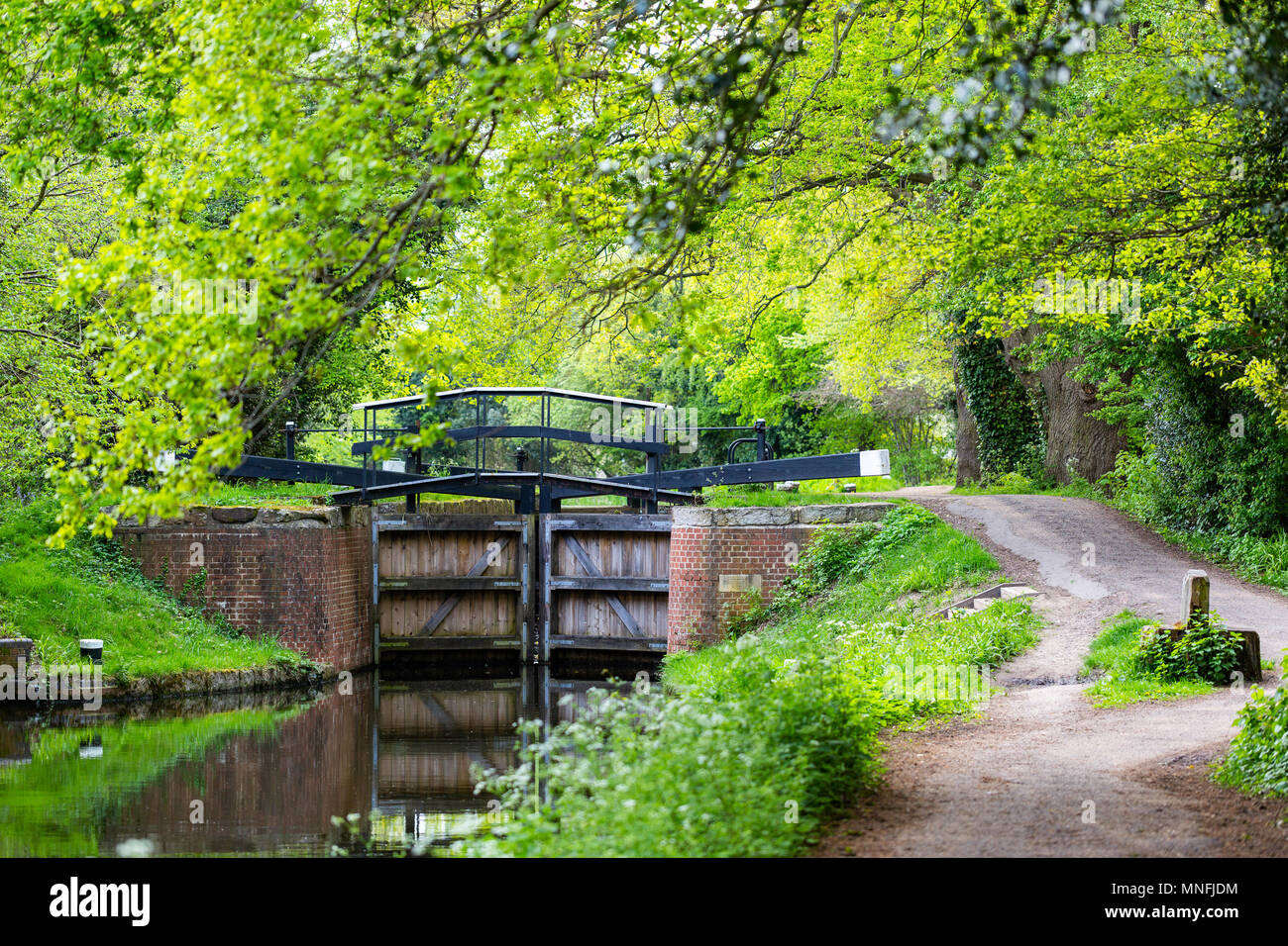 Les portes de l'eau sur Bansigstoke walkpath au Canal en Goldsworth Park près de St John village de Woking, Surrey. Temps de printemps avec les arbres vert aroundm journée ensoleillée Banque D'Images