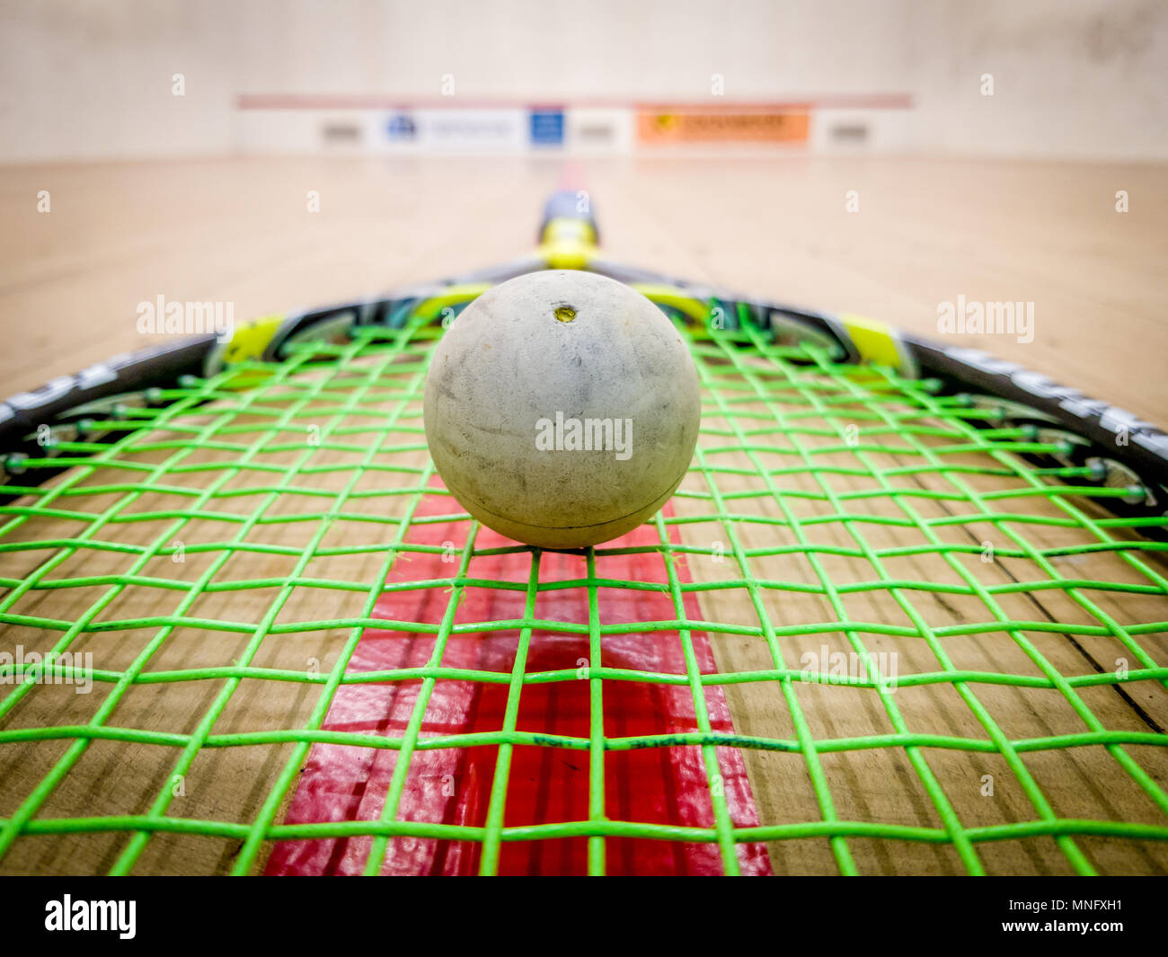 Balle de squash blanc sur les cordes d'une raquette au milieu d'un court de squash couvert Banque D'Images