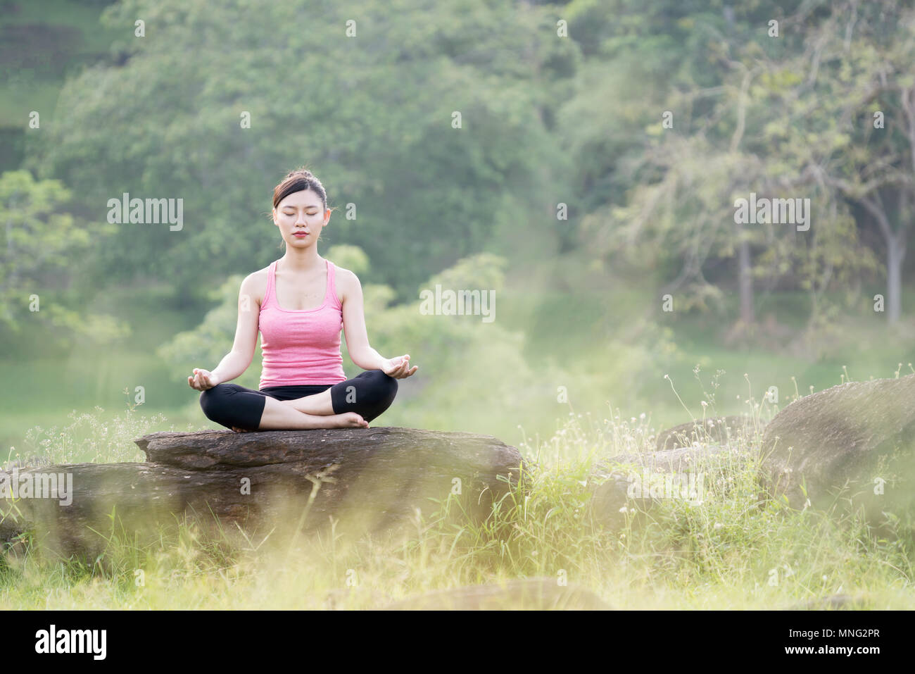 Belle jeune femme asiatique pratiquant le yoga dans le jardin Banque D'Images