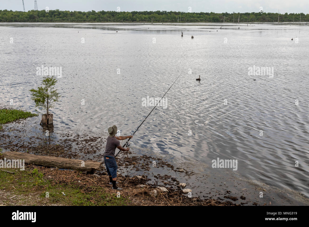La Nouvelle-Orléans, Louisiane - un homme poissons dans le Bayou Bienvenue dans la partie inférieure du triangle des milieux humides Ninth Ward. La zone utilisée pour être un vieux marais croissance avec cy Banque D'Images