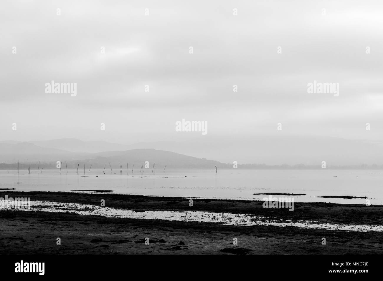 Vue du lac Trasimène minimaliste à l'aube de la rive avec des teintes douces Banque D'Images