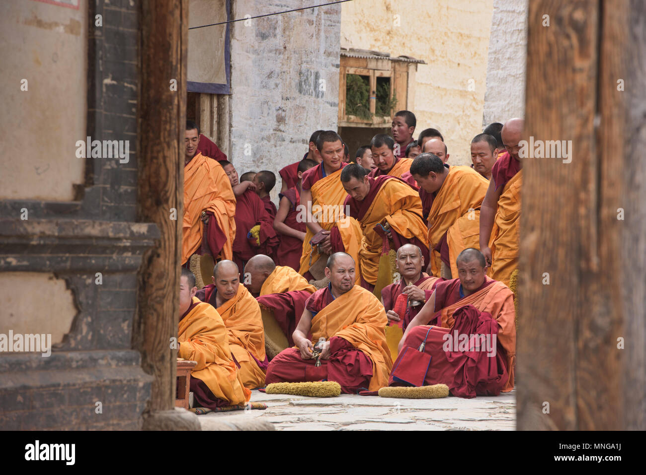 Le chant des moines Gelukpa, monastère de Labrang Xiahe, Gansu, Chine, Banque D'Images