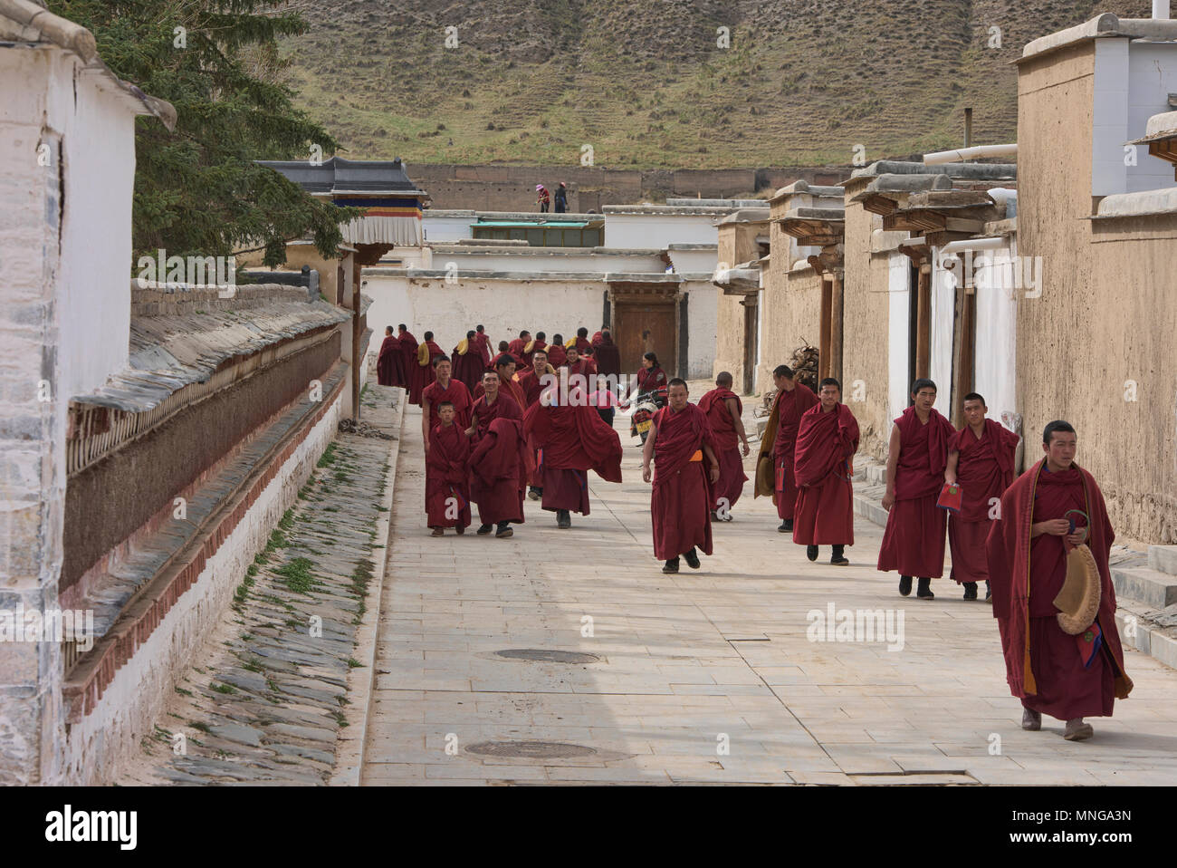 Les moines Gelukpa, Monastère Labrang Xiahe, Gansu, Chine, Banque D'Images