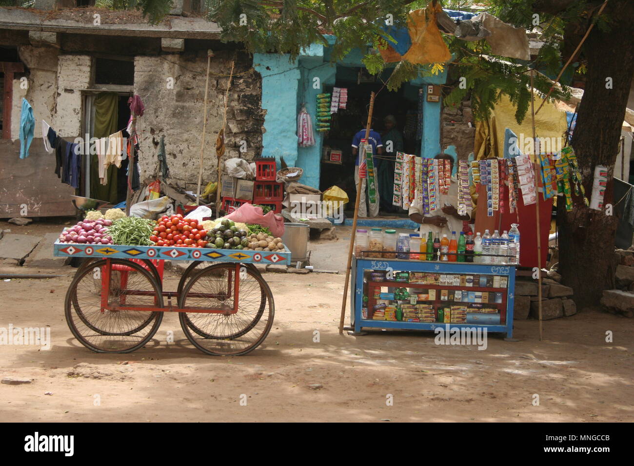 Panier de couleur vive la vente de fruits, légumes, jus de fruits et des bonbons, Hampi, Inde Banque D'Images