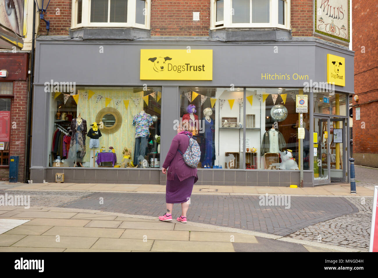 Woman standing in front of the Dogs Trust shop dans Hitchin, Hertfordshire, Angleterre Banque D'Images