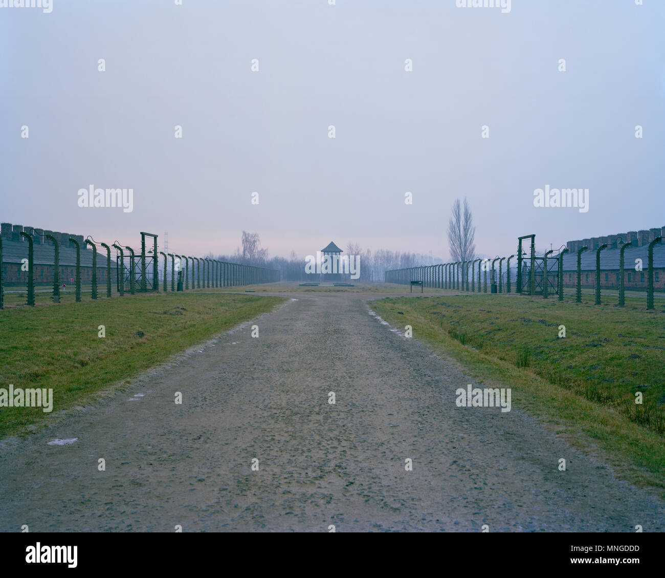 PhotographJohn Angerson libéré le 27 janvier 1945. Auschwitz II Birkenau camp de concentration dans le sud-ouest de la Pologne. Banque D'Images