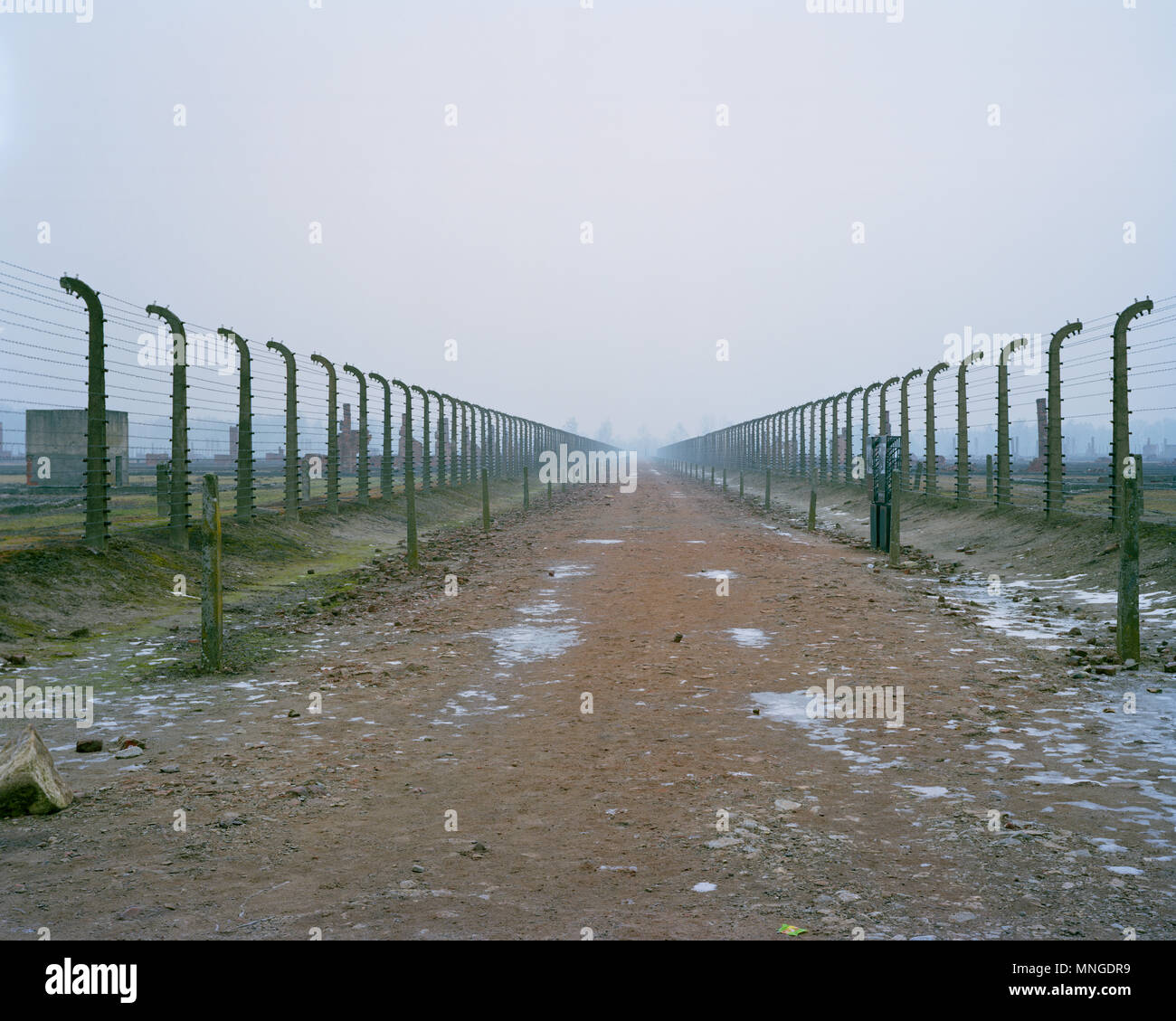 Photographie © John Angerson libéré le 27 janvier 1945. Auschwitz II Birkenau camp de concentration de la ville au sud ouest de la Pologne. Banque D'Images