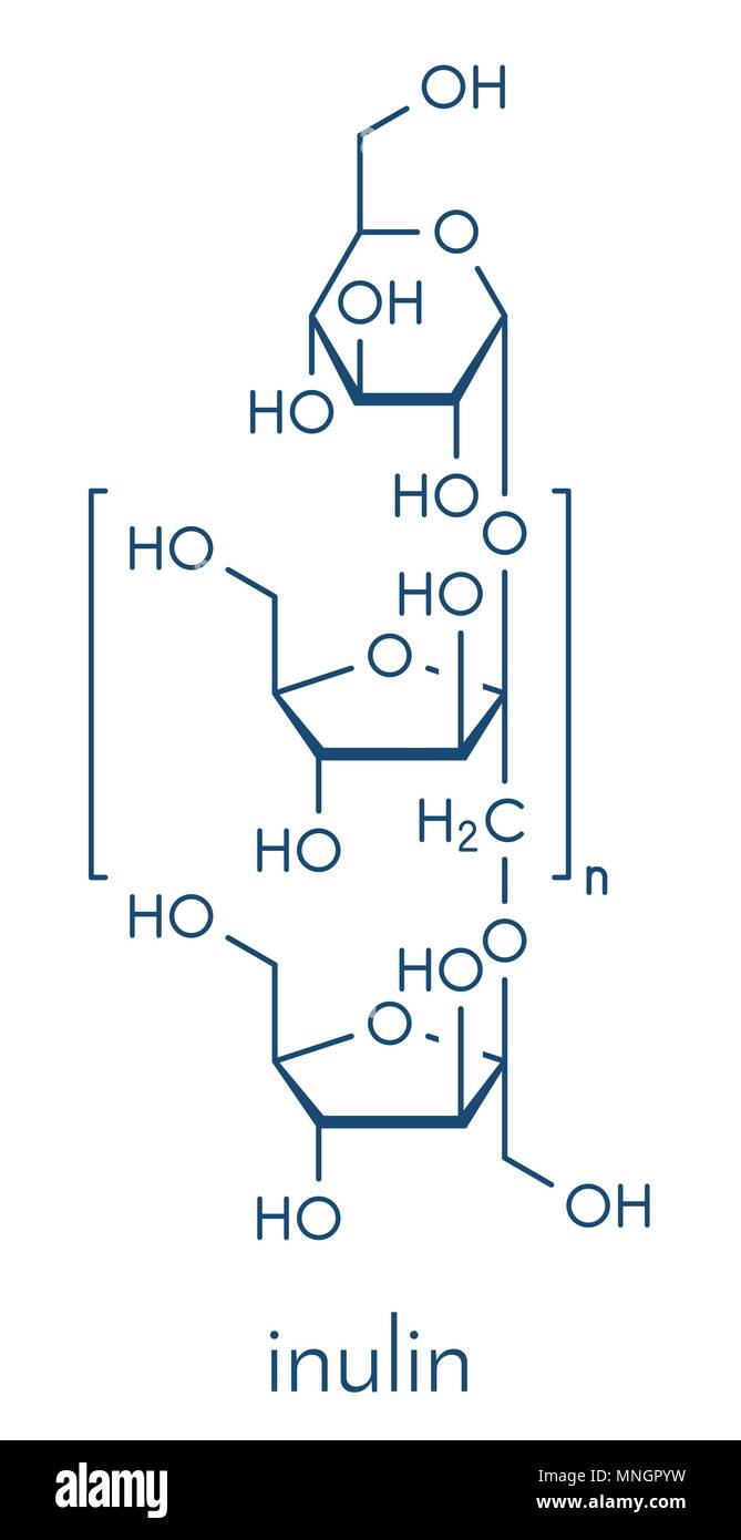 L'inuline, structure chimique. Sweet, glucides indigestibles, présent dans la chicorée et nombre d'autres plantes. Formule topologique. Illustration de Vecteur