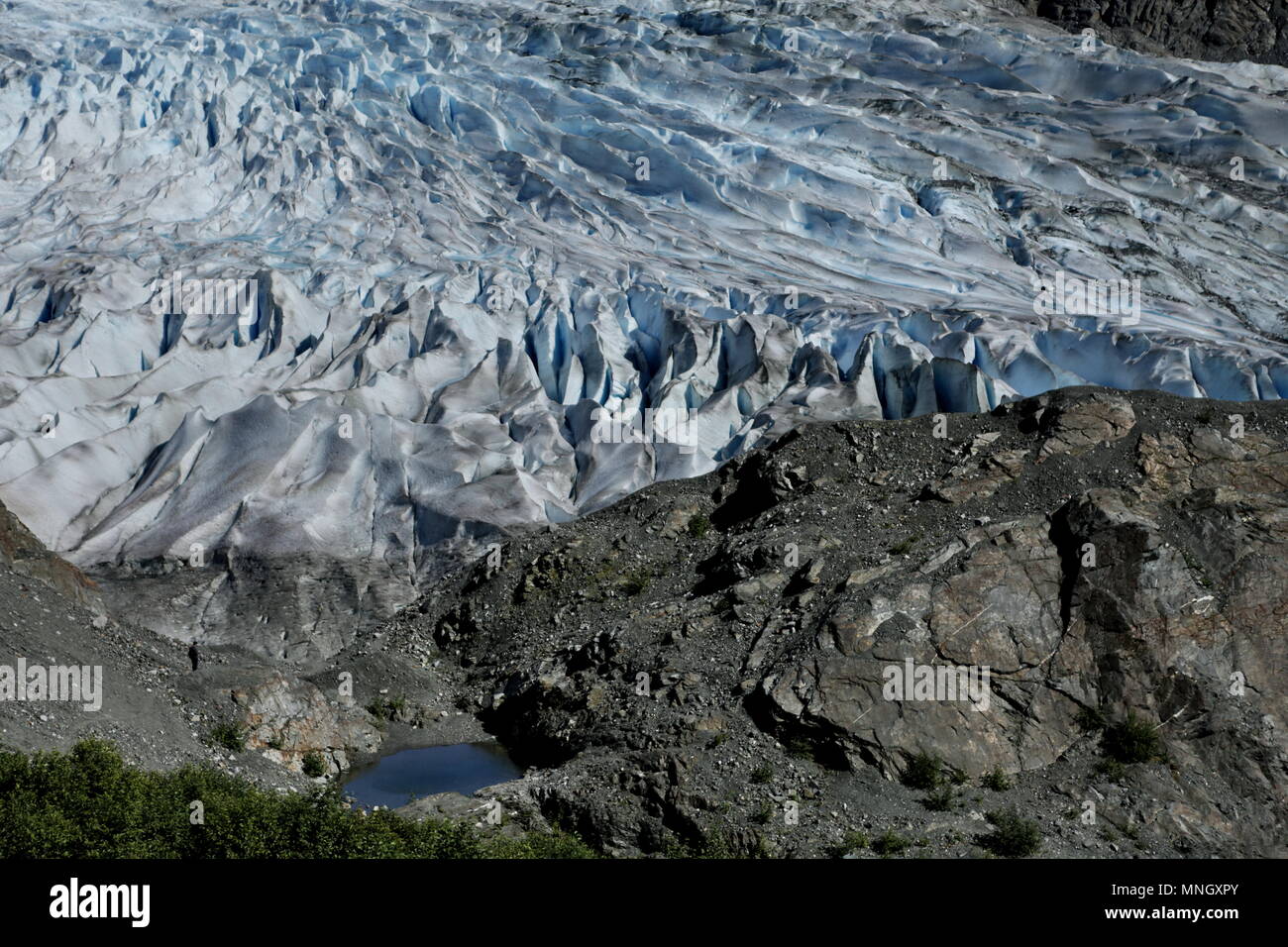 Mendelhall AK Juneau Glacier Banque D'Images