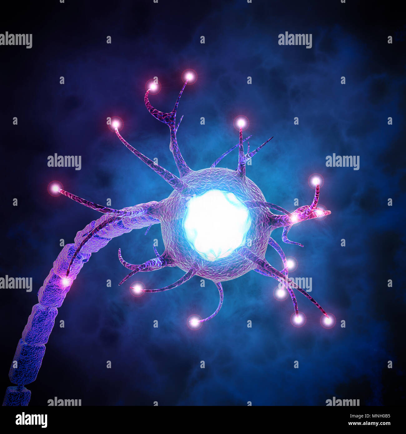 Synapse est une structure qui permet à un neurone (cellule nerveuse) ou de passer un signal électrique ou chimique à un autre neurone ou à la cible cellulaire efférente Banque D'Images