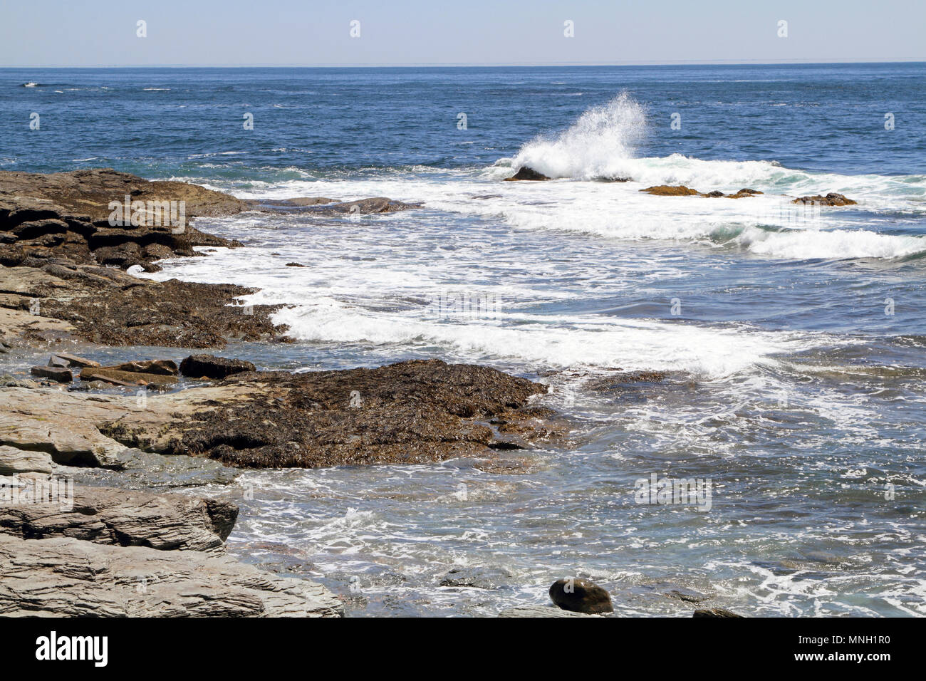 La côte au Brenton Point State Park, Newport, Rhode Island, USA. Où l'Océan Atlantique rencontre la baie de Narragansett. Banque D'Images