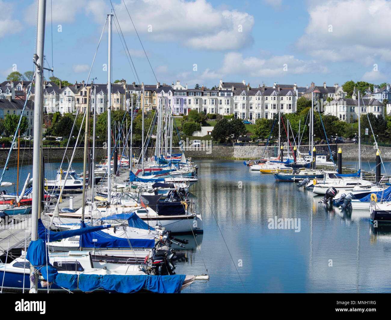 Yachts amarrés dans le port de plaisance de Bangor, Irlande du Nord Banque D'Images